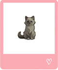 Kitten