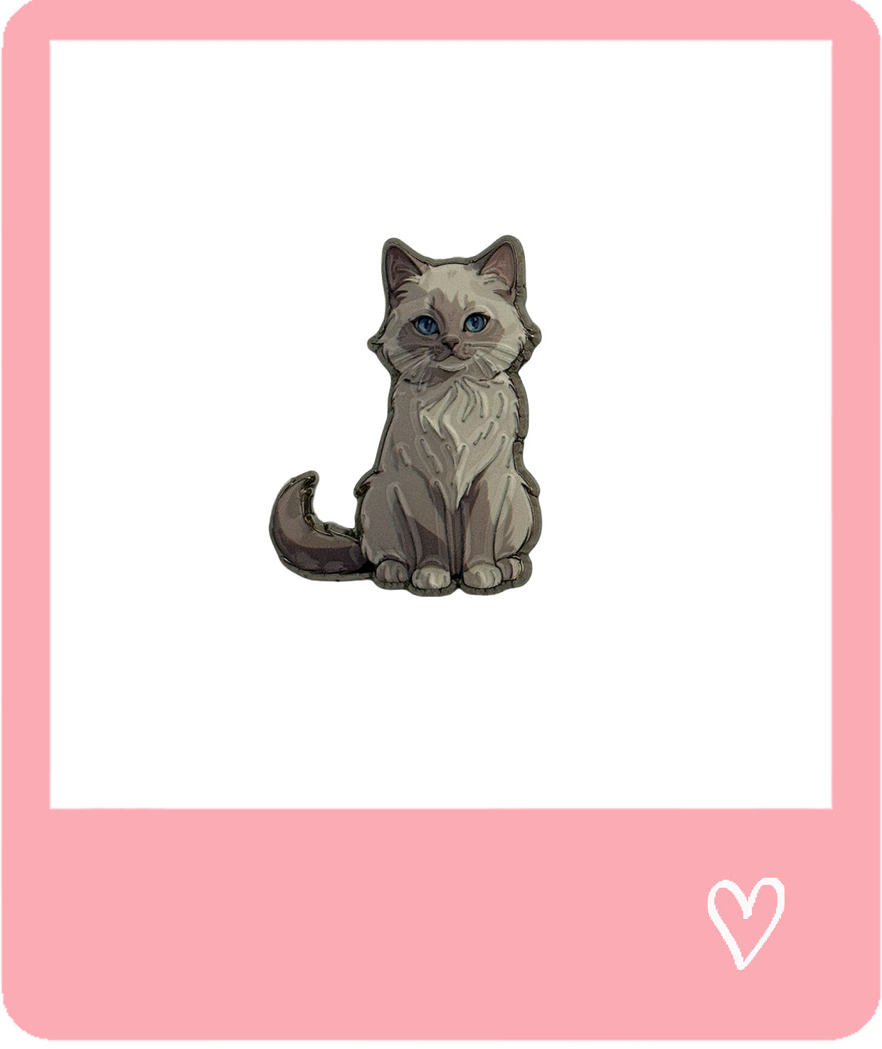 Kitten